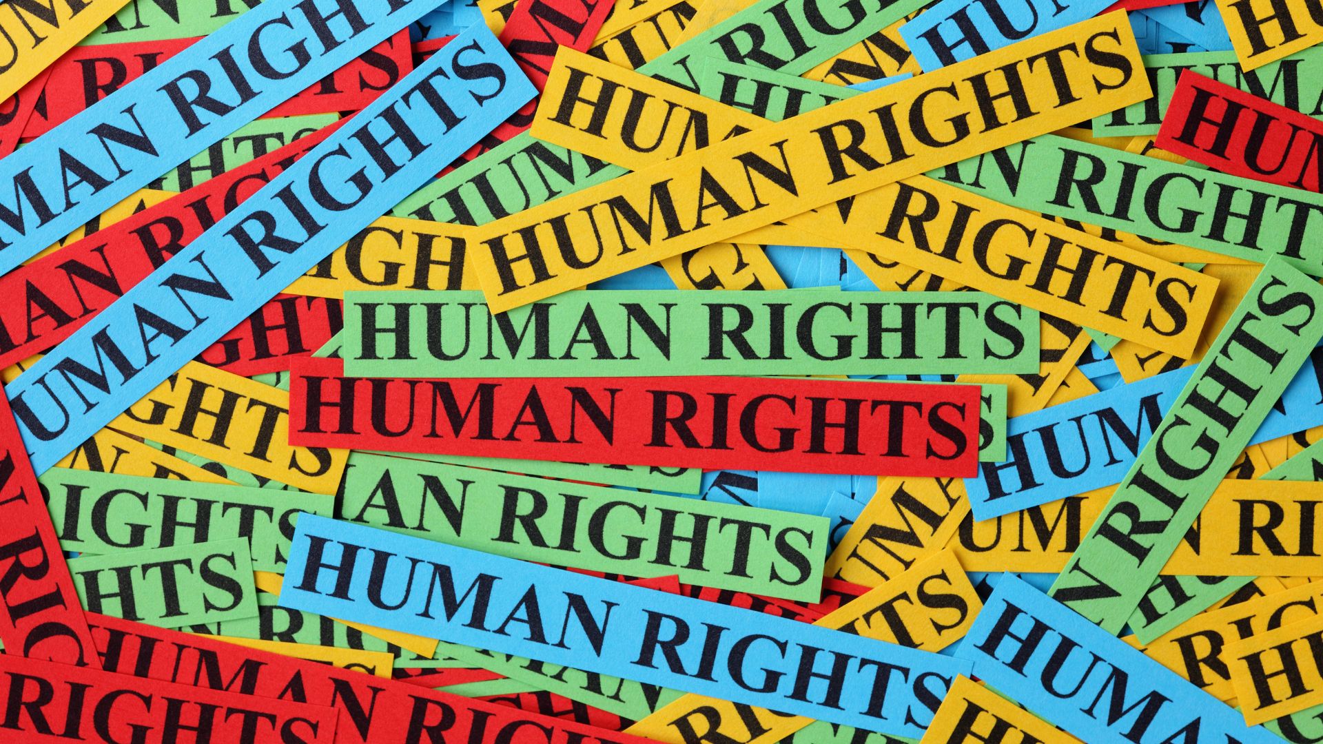 prawa człowieka - 27.12.12-fb