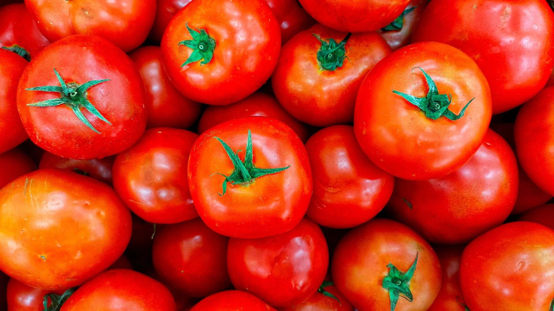 pomidory-24.03-fb